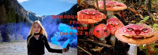 наркотики Пестово